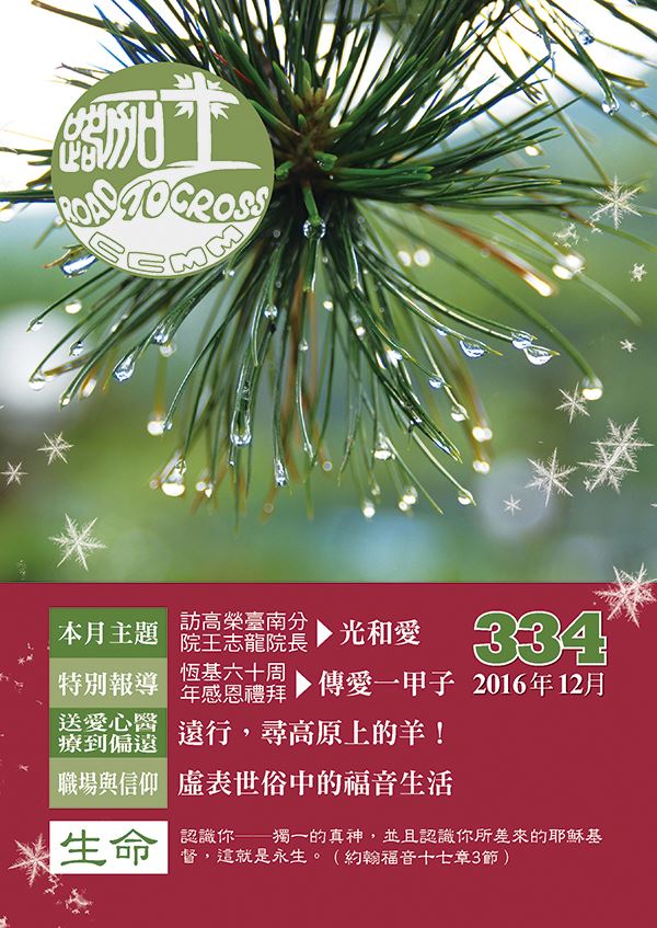 第334期