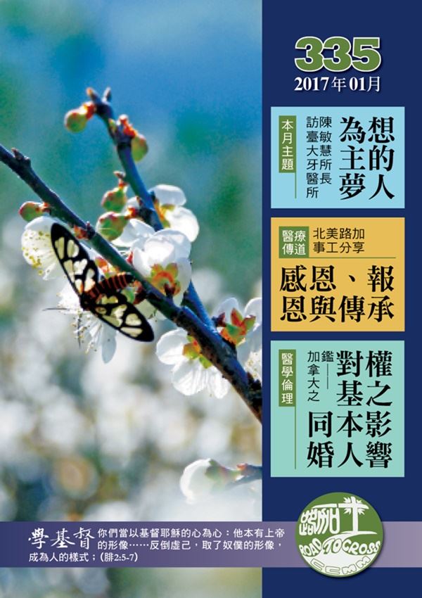 第335期