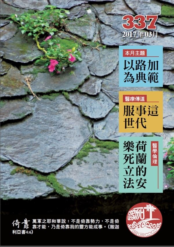 第337期