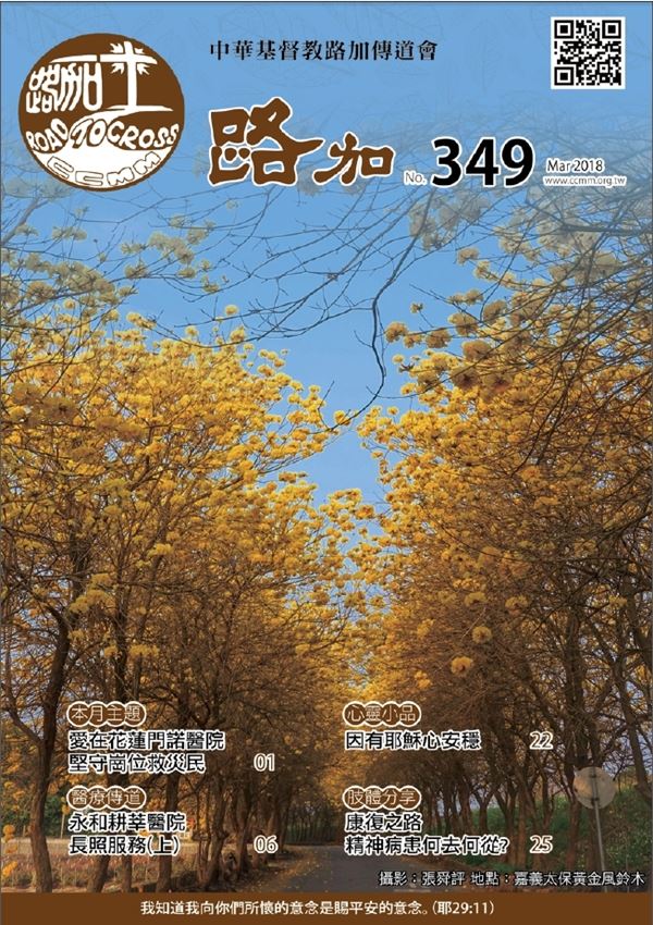 第349期