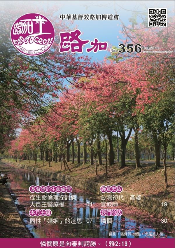第356期