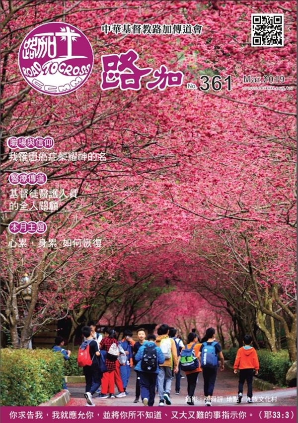 第361期