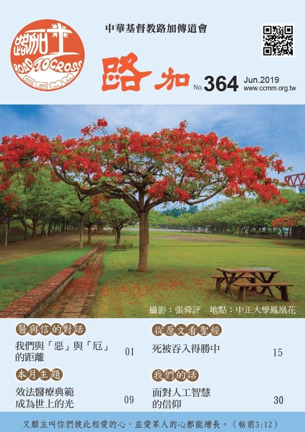 第364期