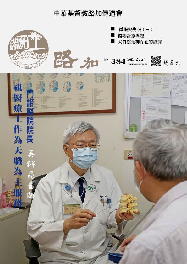 第384期