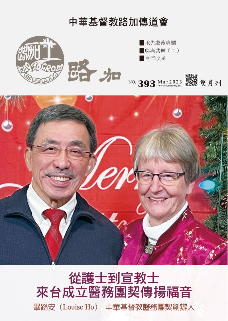 第393期