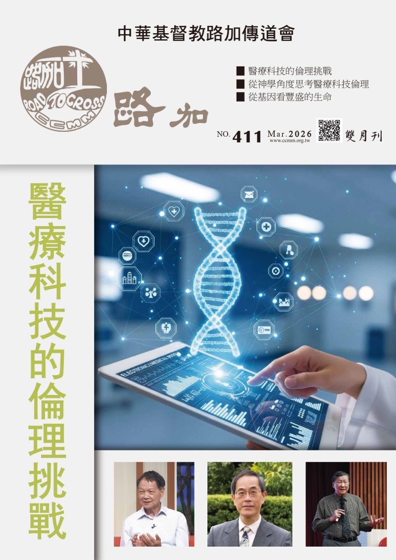 第411期