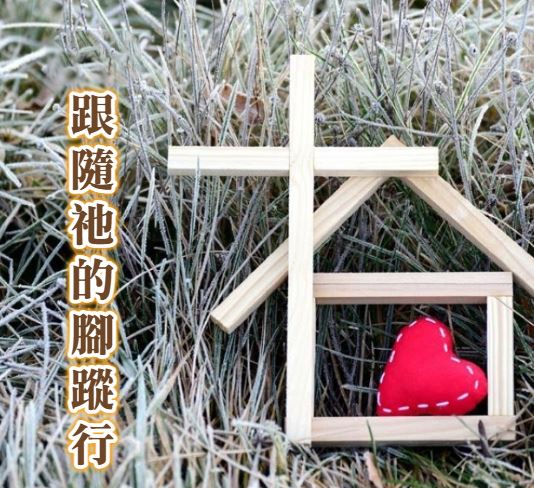 2024年跟隨腳蹤～暑假醫療傳道見習營