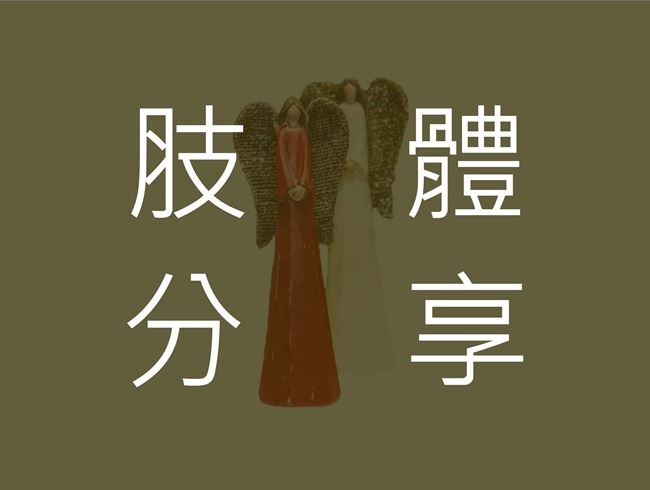 傷害與饒恕